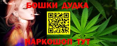 ПСИЛОЦИБИНОВЫЕ ГРИБЫ Баксан